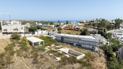 11-d1cf5881fc1bcd9b7caba52dcf1cbdee-239