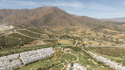 21-65a15a150d5c3fc5d68350ad37e0ccf4-126